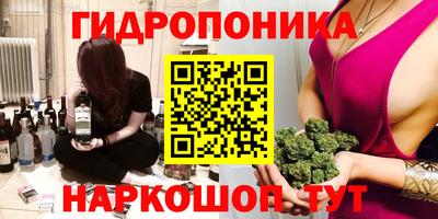гашик Ярославль