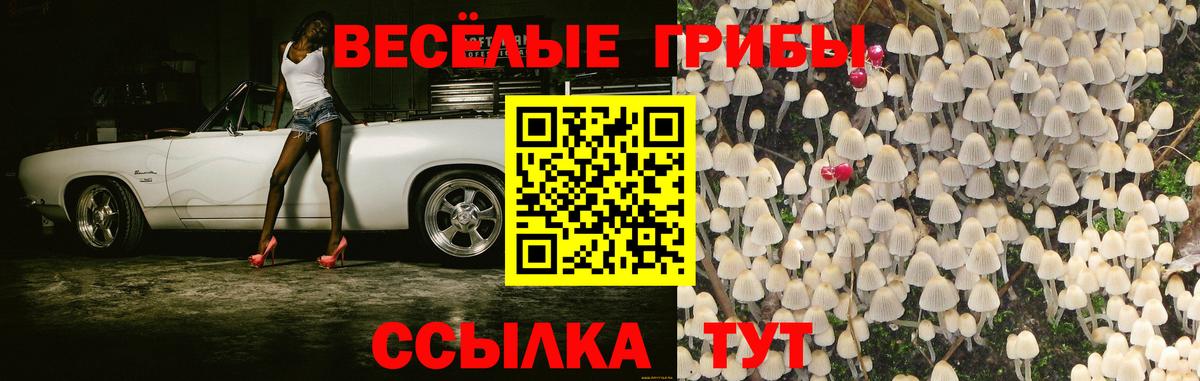 Псилоцибиновые грибы Psilocybine cubensis  Вход с VPN  купить  цена  Амурск 