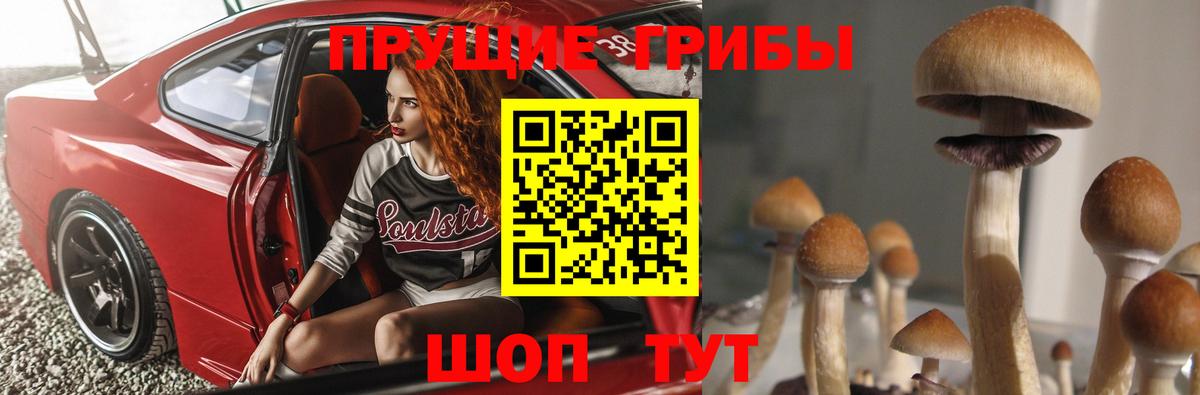 Псилоцибиновые грибы Psilocybine cubensis Амурск